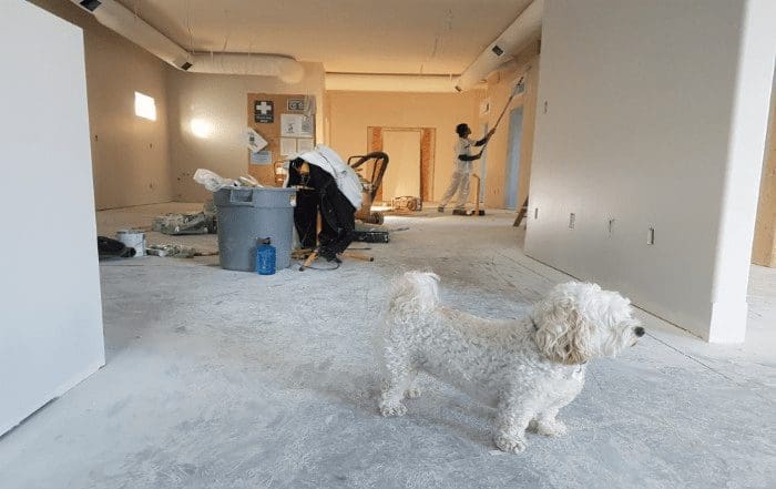 Your house is not the only property for sale in Ottawa. Renovations and upgrades can give you that competitive edge in bidding wars and increase your property's true value.