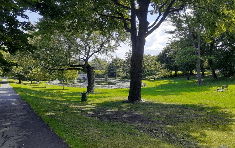 A lagoon in Glebe. ctto glebeca.ca